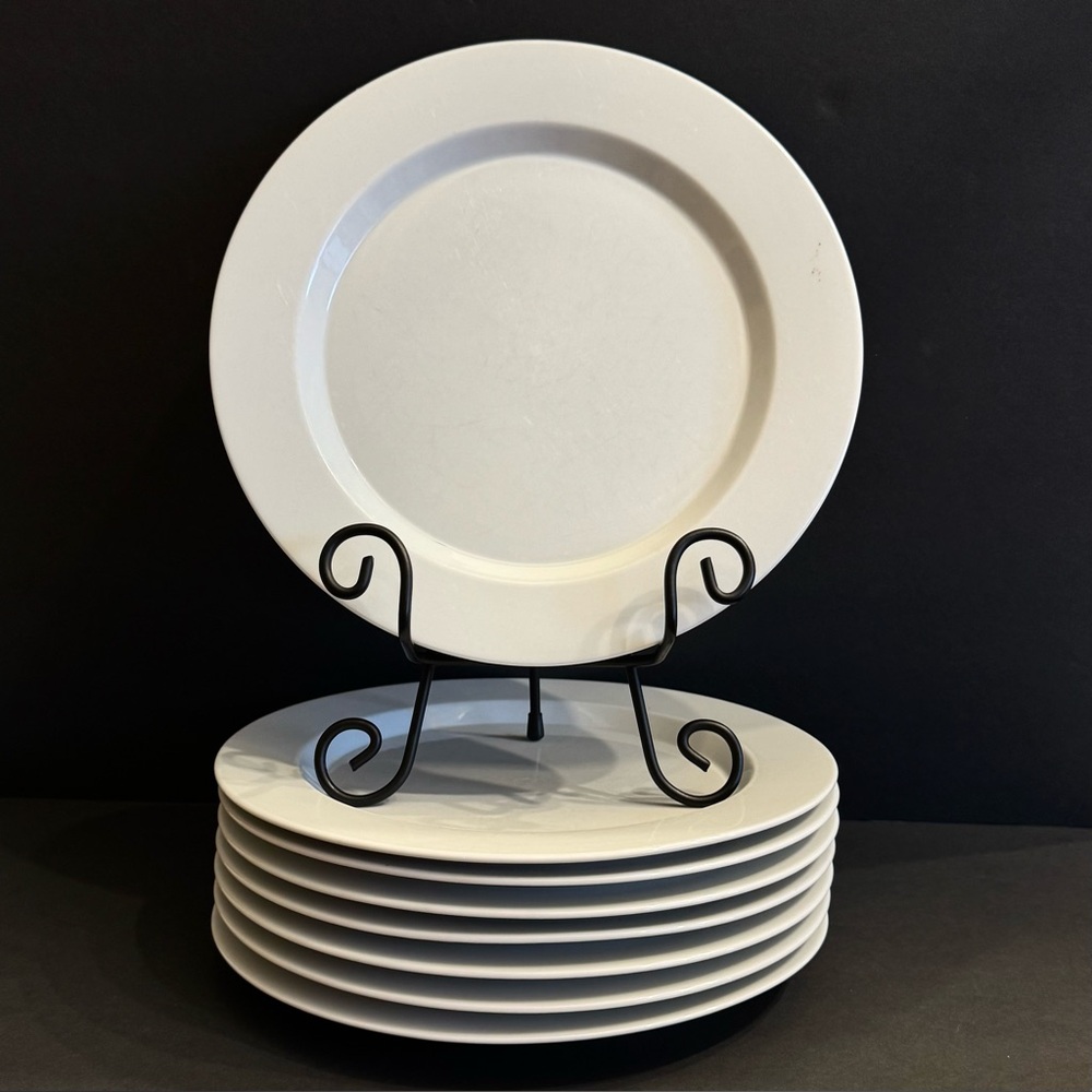 LOT of 2 Tienshan Prelude Dinner Plates Wide Rim 10 1/2" - DISCONTINUED